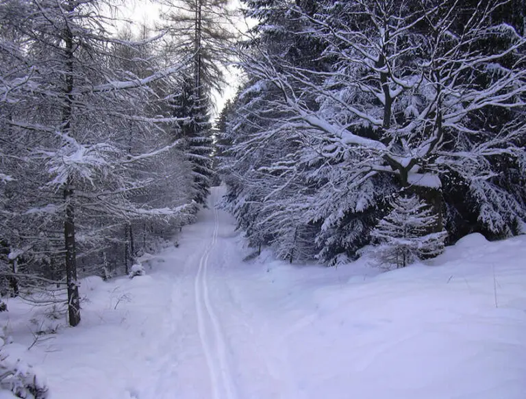 Cross Country Skiing In Wisconsin & Upper Michigan