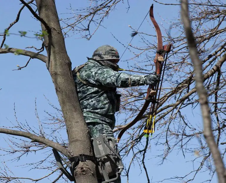 Advantage Of Elevated Whitetail Hunting
