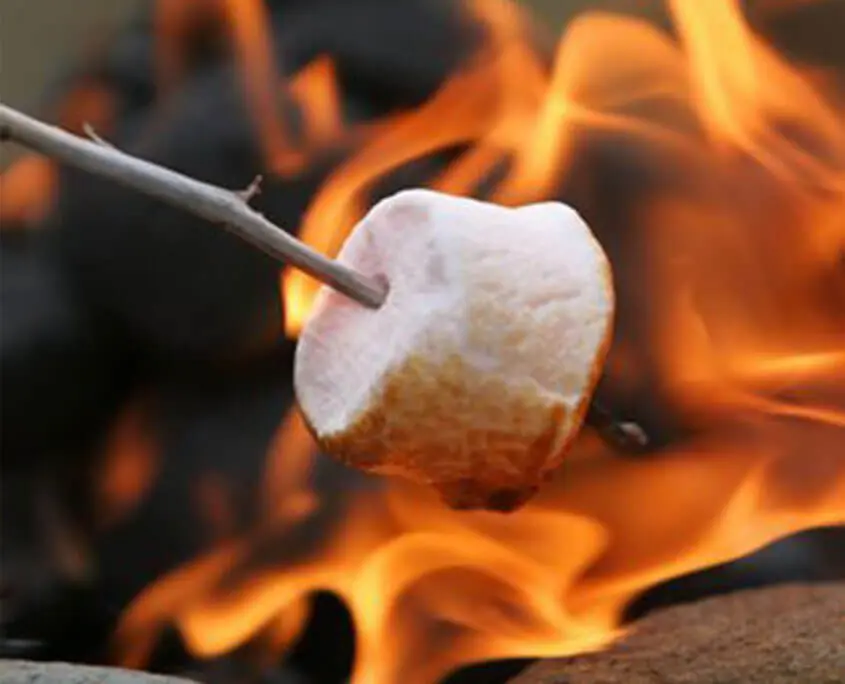 Tips For Northwoods Campfire Cooking