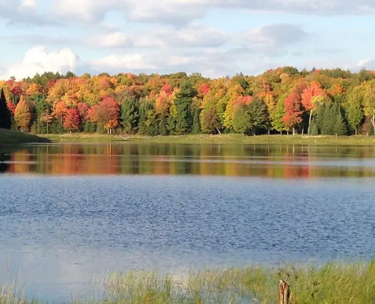 Vacation Destination | The Wilderness Reserve