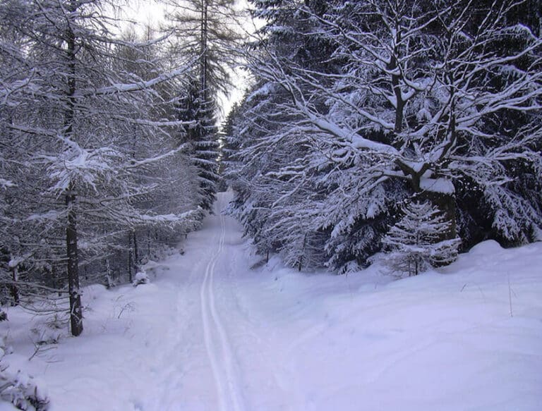 Cross Country Skiing In Wisconsin & Upper Michigan