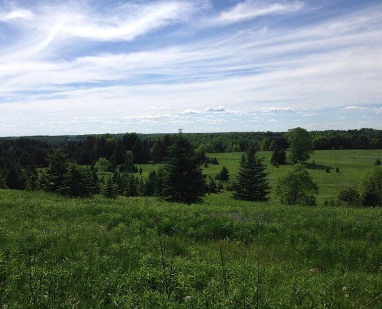 Vast Property The Wilderness Reserve
