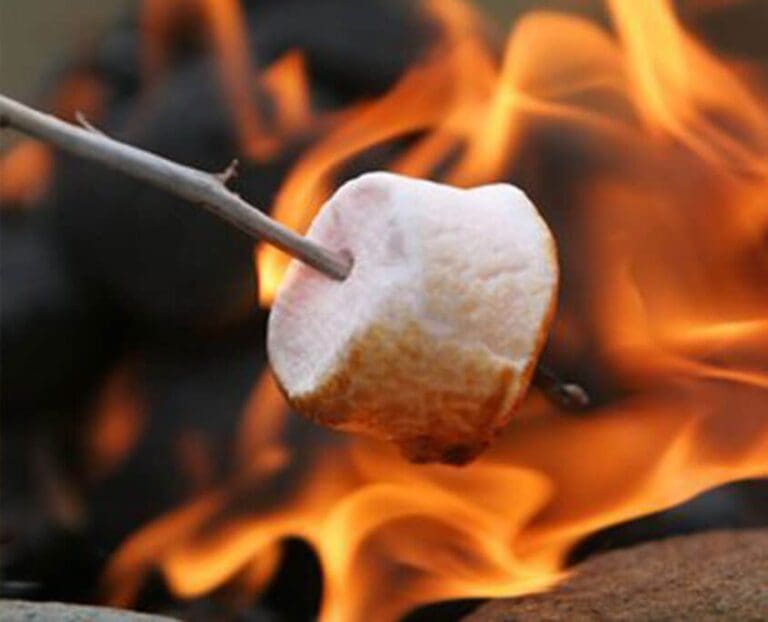 Tips For Northwoods Campfire Cooking