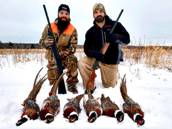 Pheasant Hunts