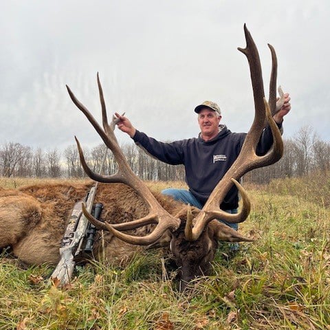 Elk Hunts